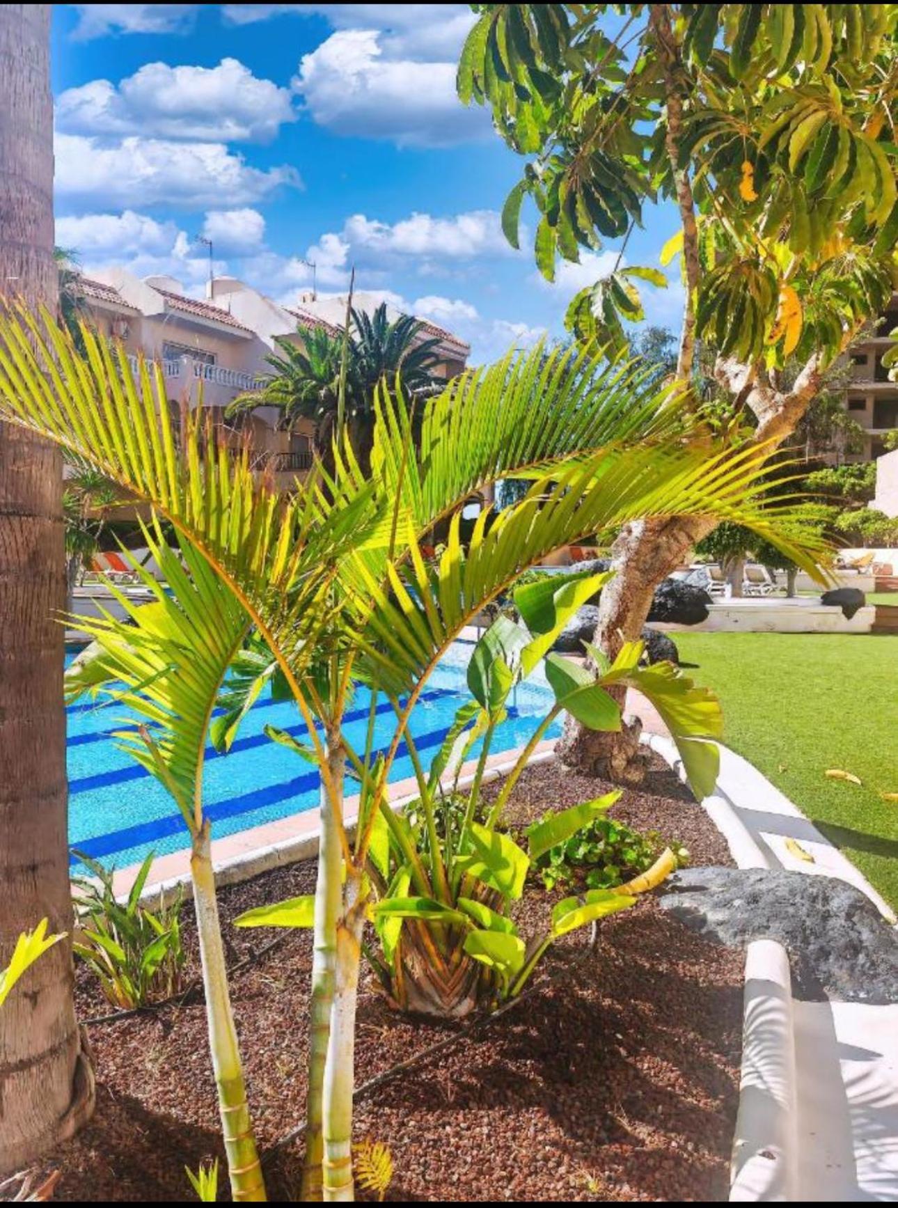 Heart And Soul Apartment San Miguel de Abona Esterno foto